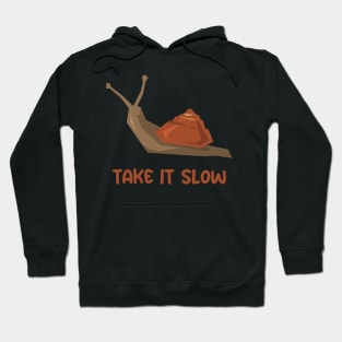 Take it Slow Hoodie